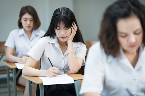 Tư vấn nghề nghiệp