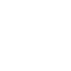 3 3 bla300
